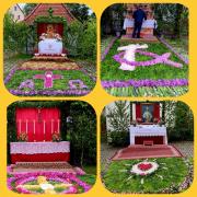 cabf0777-66f2-4ed2-9cc6-b7c90a29dde6.jpg