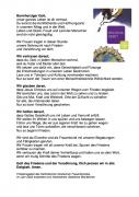friedensgebet-des-katholischen-deutschen-frauenbundes.jpg